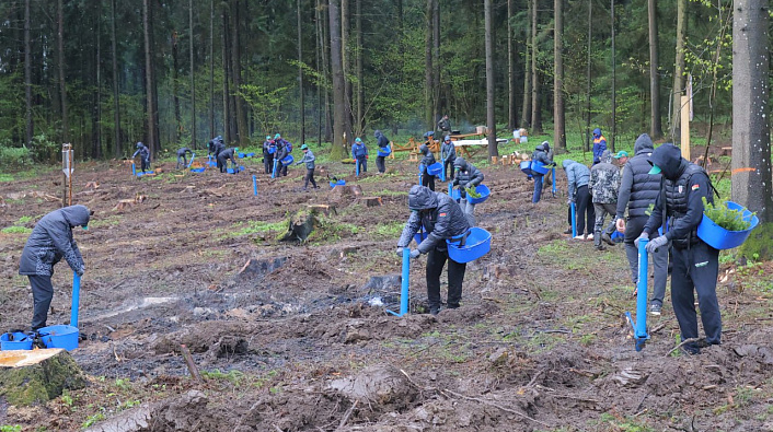 ХК «Динамо-Минск» и Федерация хоккея Беларуси совместно обновили лесной массив