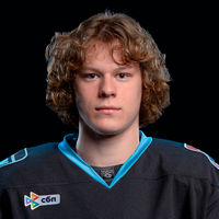 Дмитрий Хобян