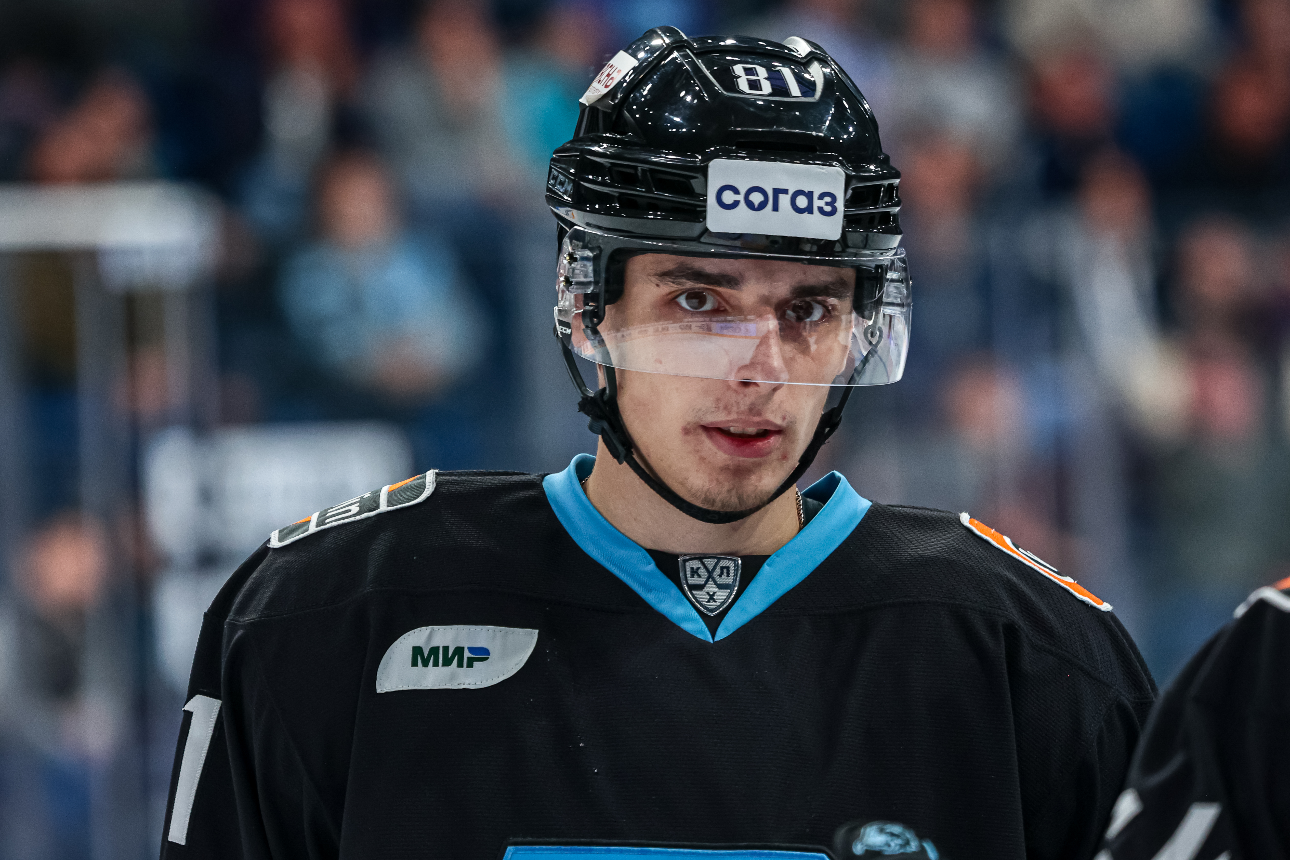 Пинчук хоккеист. Пинчук хоккеист. Пинчук хоккеист. Пинчук хоккеист. 81 номер хоккеист.